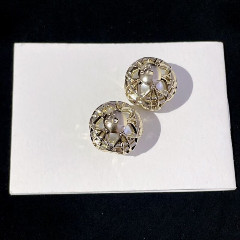 Christian Dior Earrings